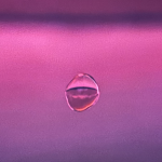 tetesan air mata sore: istri dari masa depan